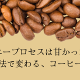 【ハニープロセスは甘かった！】精製方法で変わる、コーヒーの魅力
